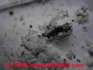 Paint lab Photograph of sample of failed paint